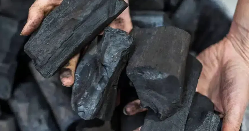 In this article, we will be looking at the top hardwood charcoal suppliers in Nigeria and globally for international buyers (2026). 