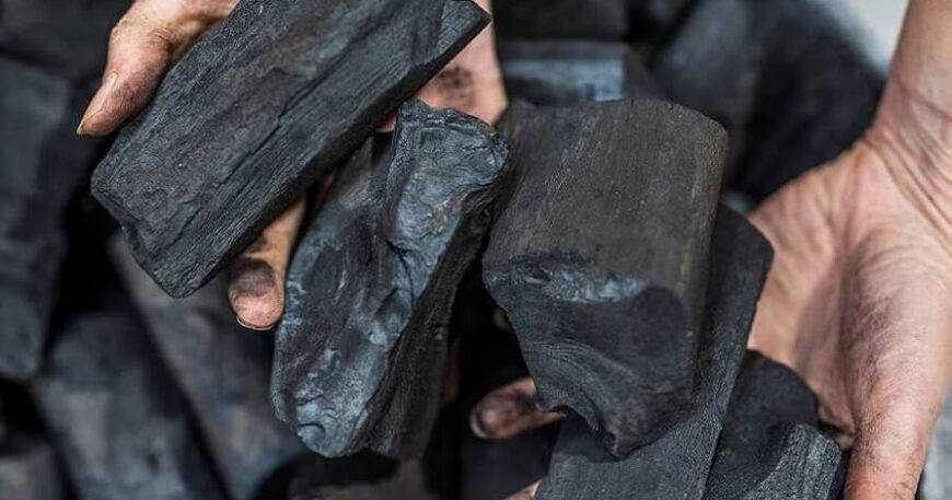 Best Charcoal for BBQ and Restaurants