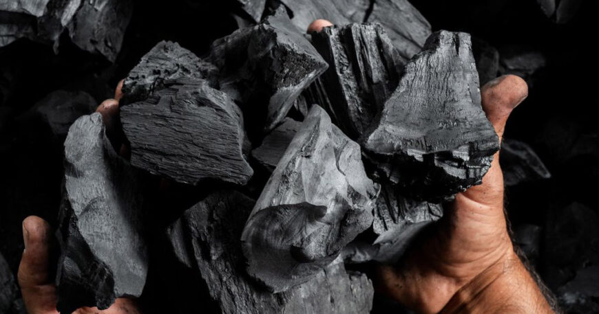 Wholesale Hardwood Charcoal Exporters in Africa